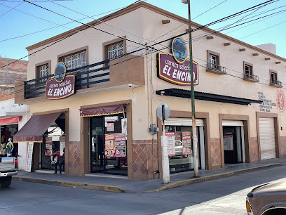 Carnes Selectas El Encino Rincón de Romos