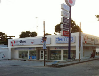 Farmacias del Ahorro Central Norte